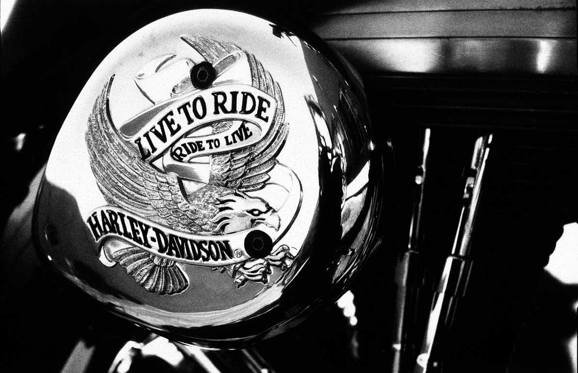 Levis Rebel-Live to ride, Harley Davidson