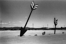 Essays Outwest, Amado-James O'Mara