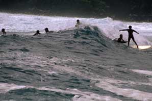 Surfers in water-James O'Mara